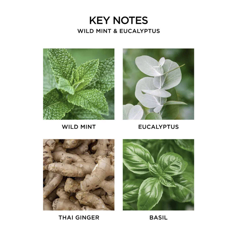 NEST New York Wild Mint and Eucalyptus Refill Duo for Pura Smart Home Fragrance Diffuser