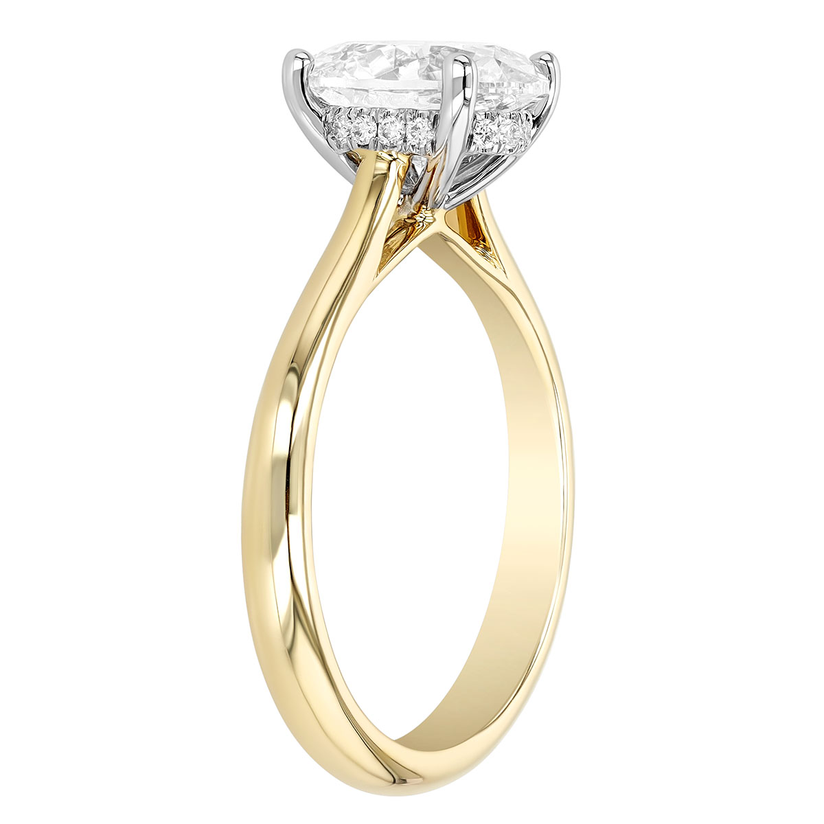 Oval Diamond & Hidden Halo Engagement Ring in Two Tone