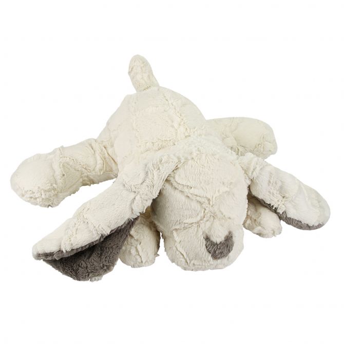 Love Bug Ivory Puppy