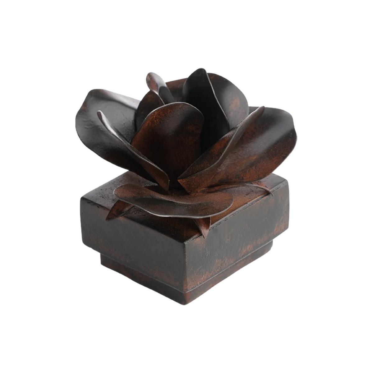 Jan Barboglio Rosa Box