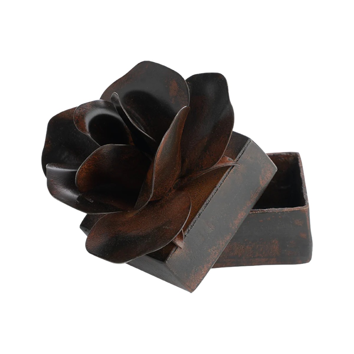 Jan Barboglio Rosa Box