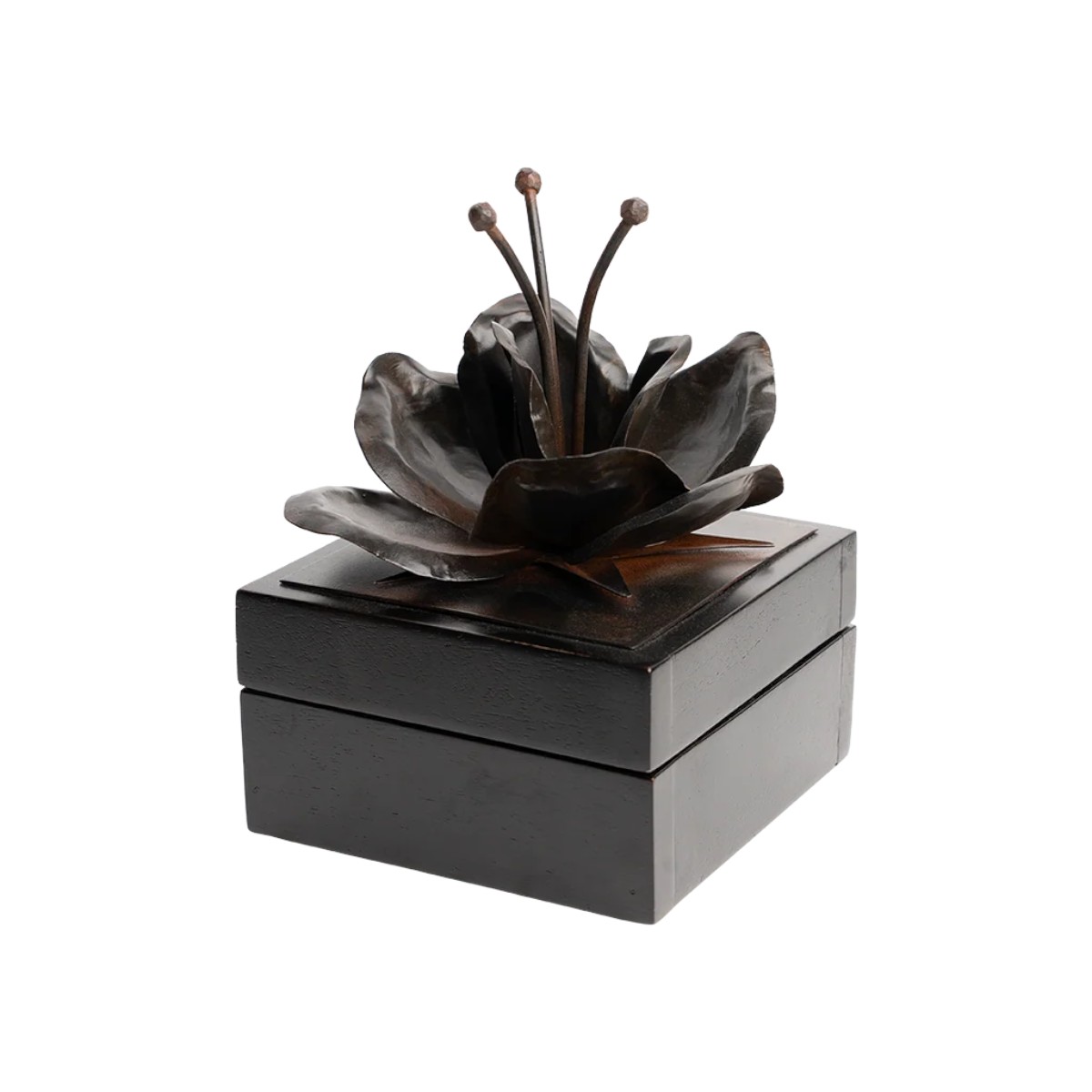 Jan Barboglio Valentina Box