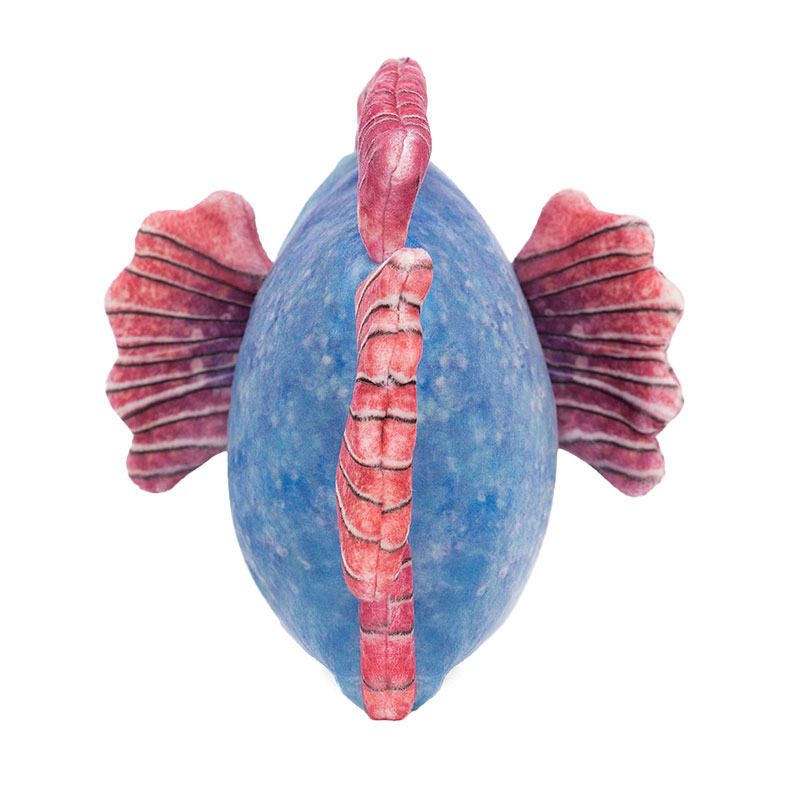 Jellycat Fishiful Blue Plush