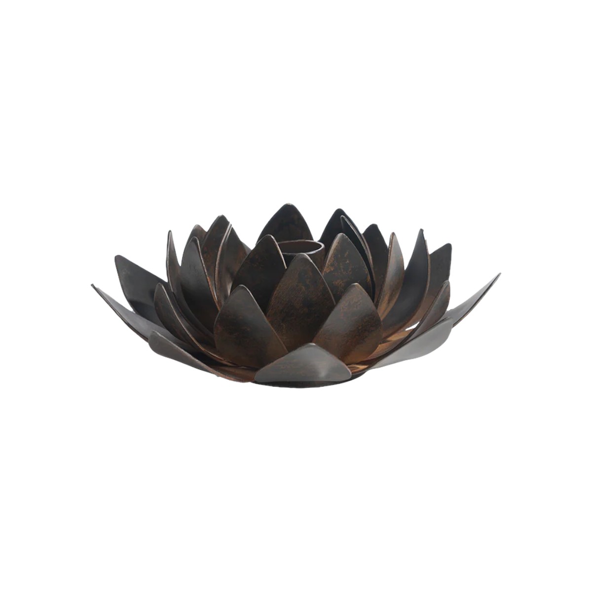 Jan Barboglio Chapultepec