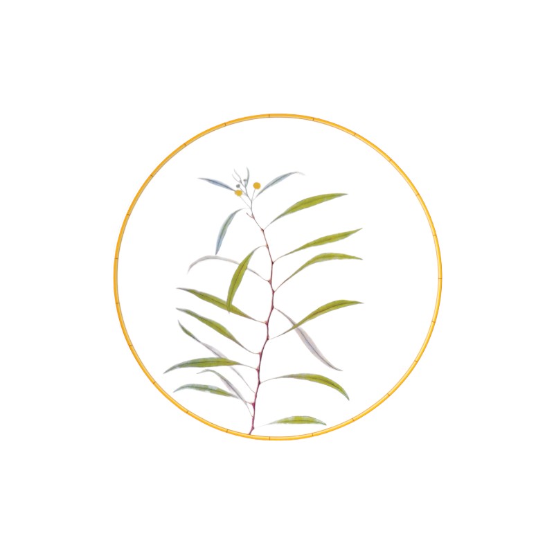 Bernardaud Jardin Indien Dinner Plate, 10.6