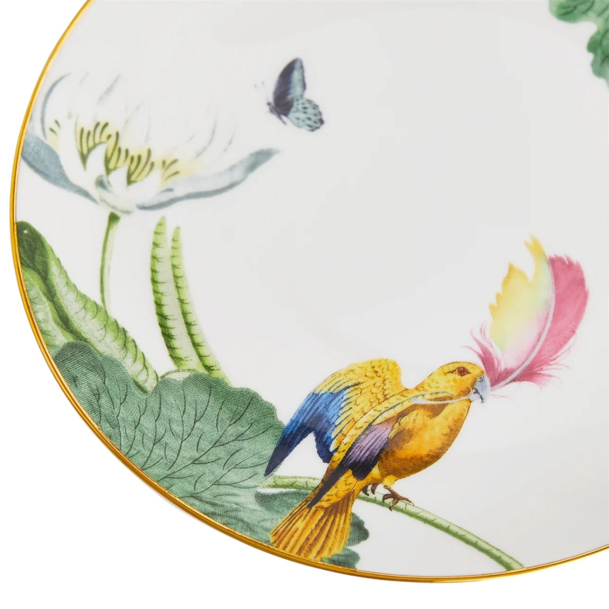 Wedgwood Wonderlust Waterlily Bread and Butter Plate