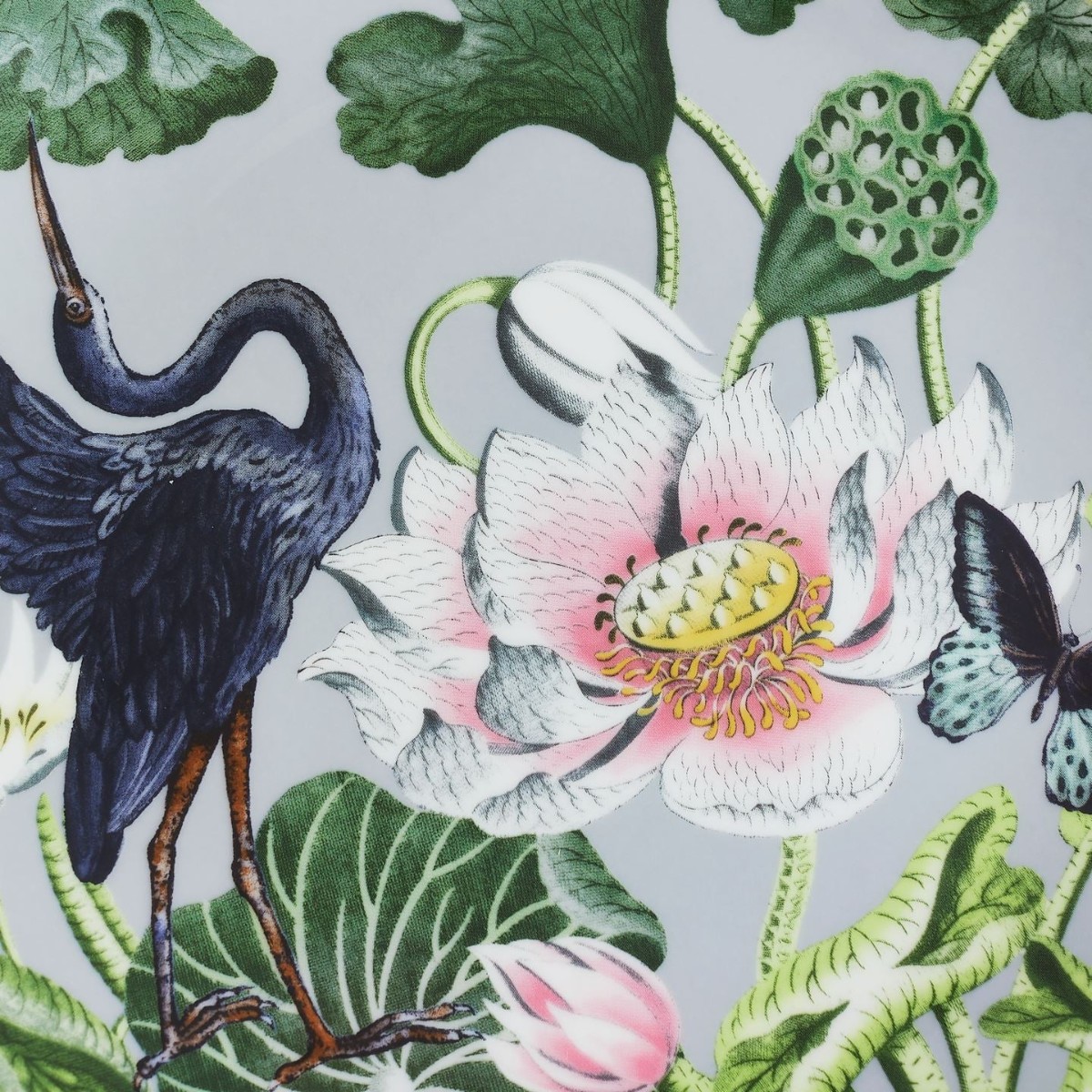 Wedgwood Wonderlust Plate, Waterlily