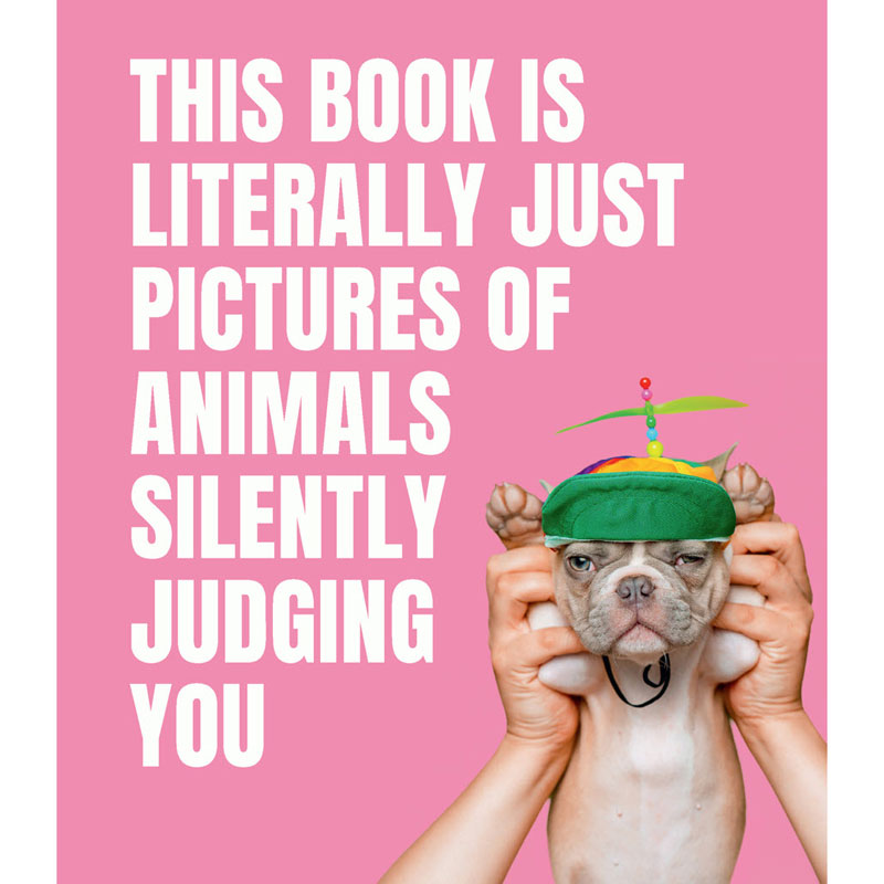 Animals Silently Judging You