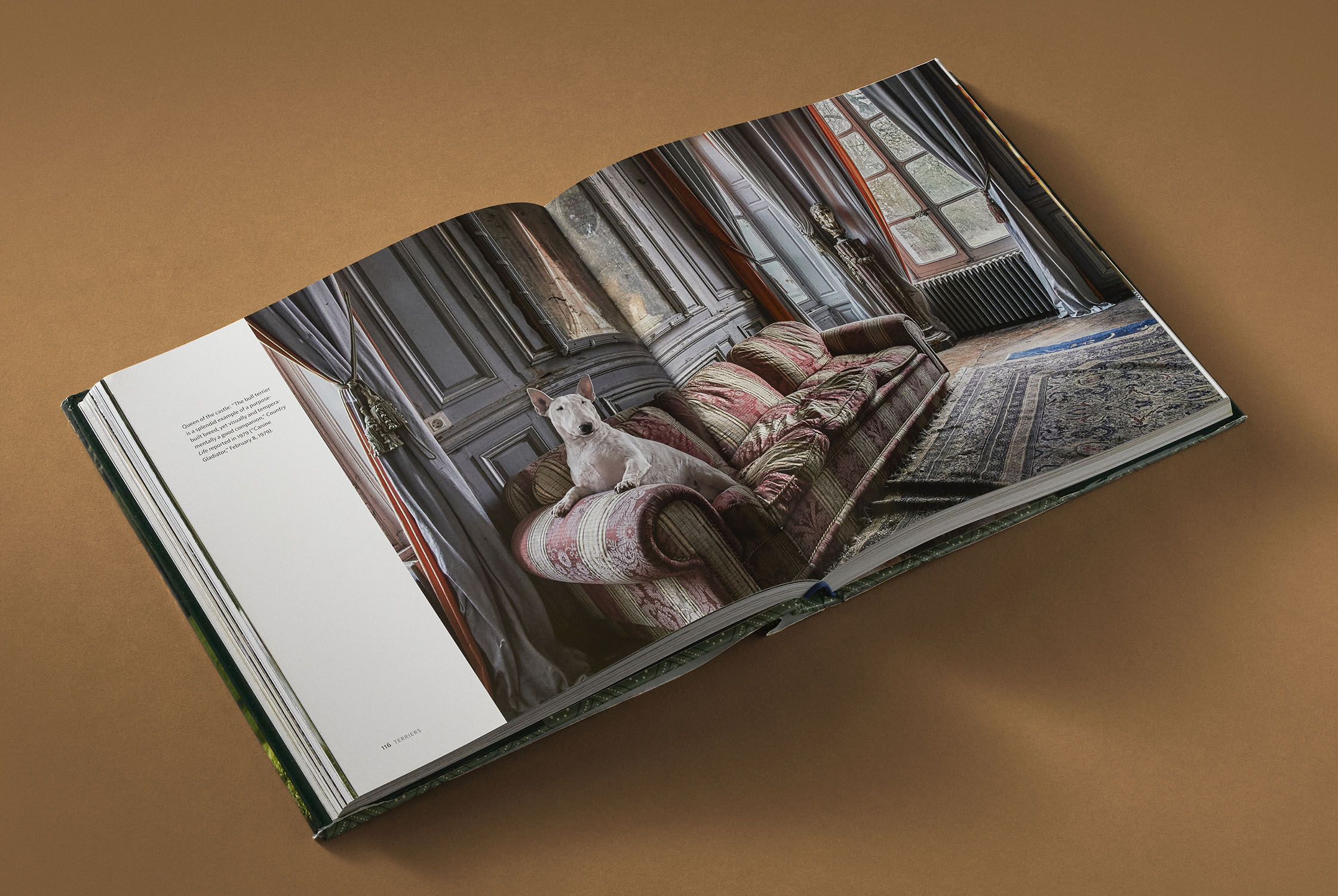 Country Life's Book of Dogs