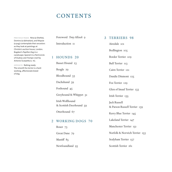 Country Life's Book of Dogs