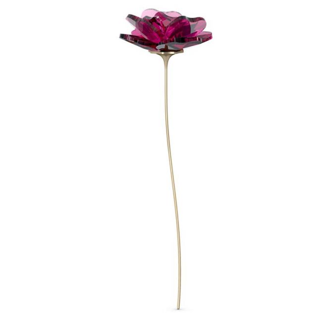 Swarovski Garden Tales Rose Figurine