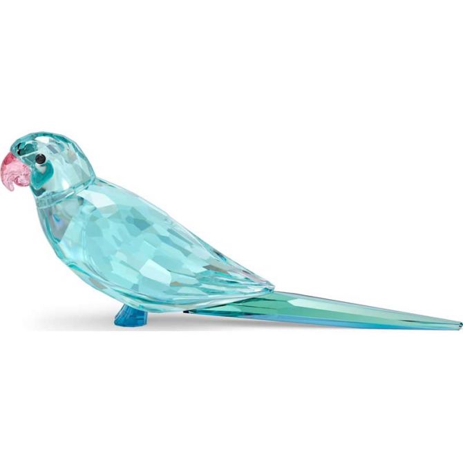 Swarovski Jungle Beats Blue Parakeet Paco Figurine