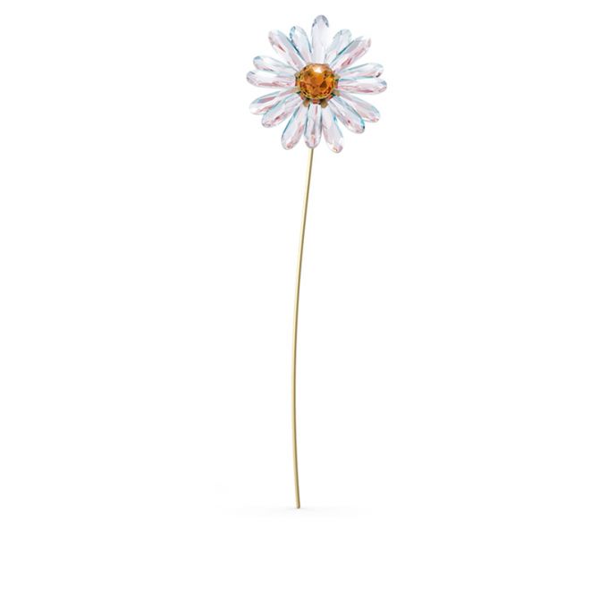 Swarovski Garden Tales Daisy Stem Figurine
