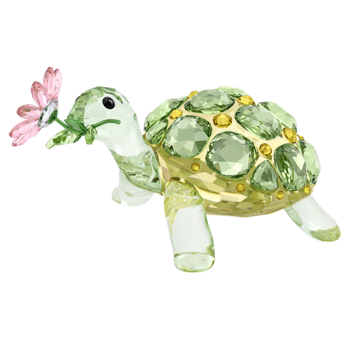 Swarovski Idyllia Tortoise and Daisy Figurine
