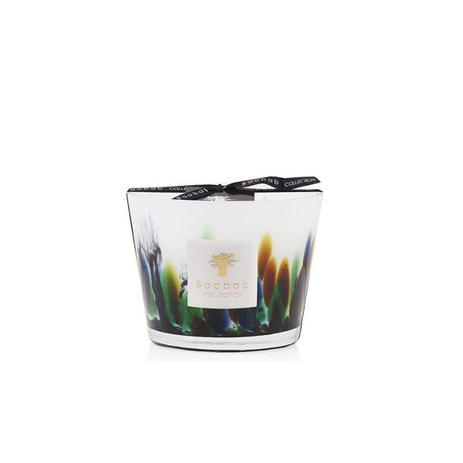 Baobab Rainforest Amazonia Candle, Max 10