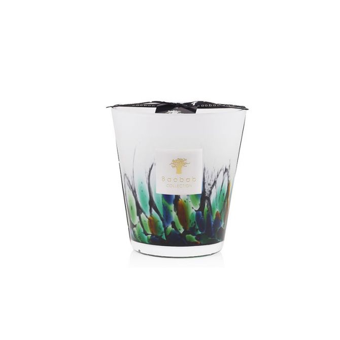 Baobab Rainforest Amazonia Candle, Max 16