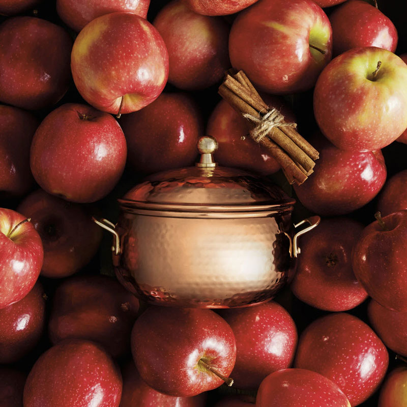 Thymes Simmered Cider Copper Pot 3-Wick Candle