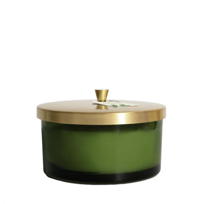 Thymes Frasier Fir Green 4-Wick Candle