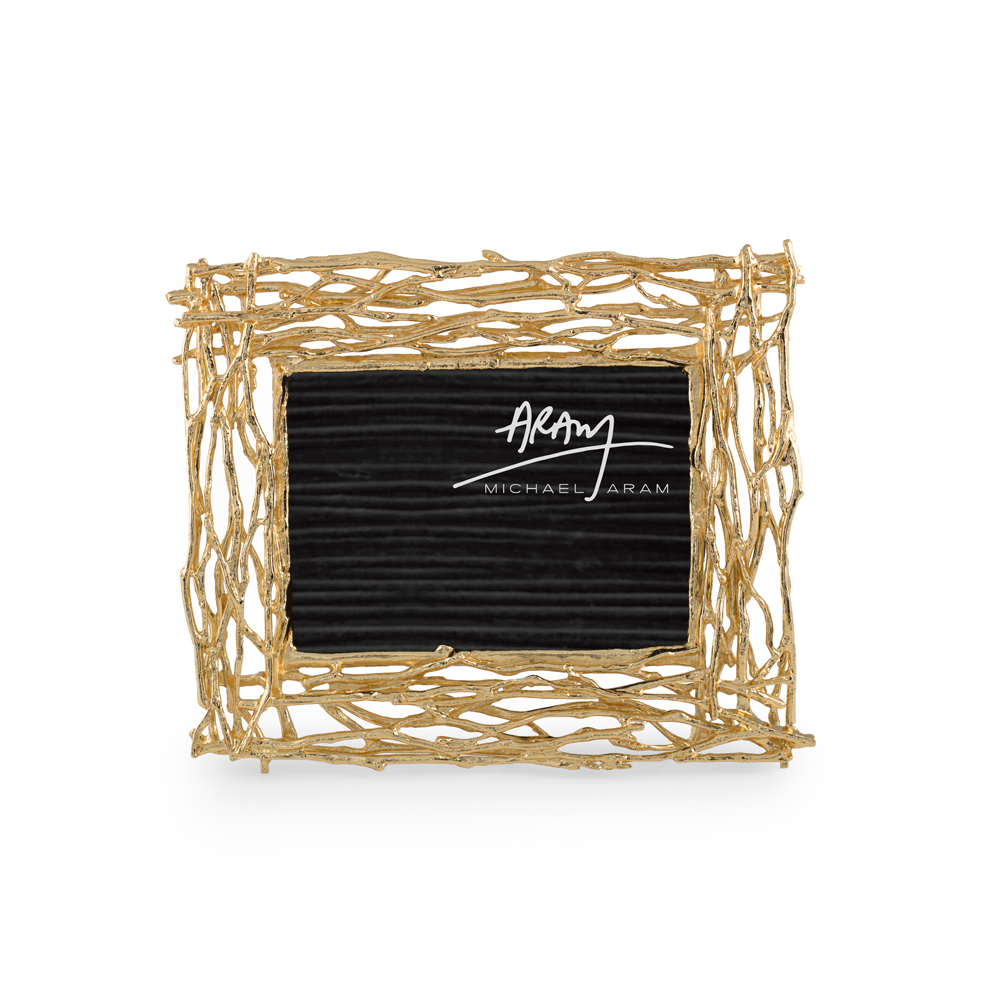 michael aram gold frame