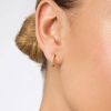 Julie Vos Laurel Hoop and Charm Earrings, Cubic Zirconia