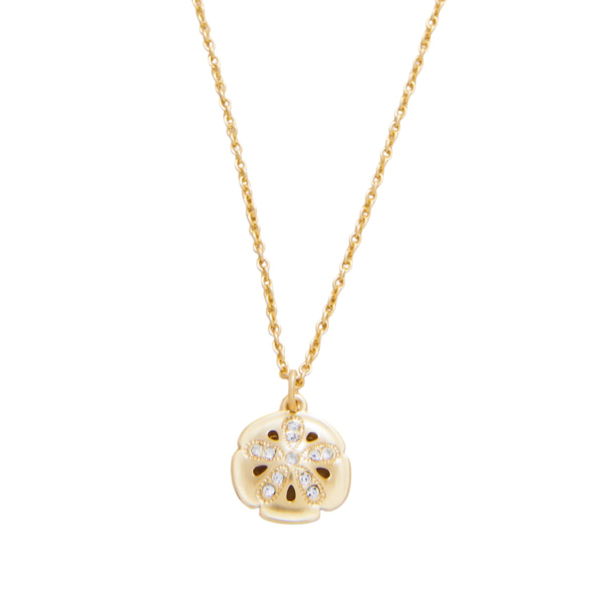 Spartina 449 Treasured Sand Dollar 18