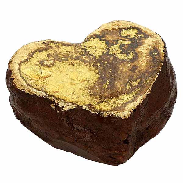 Barbara Biel Gold Heart