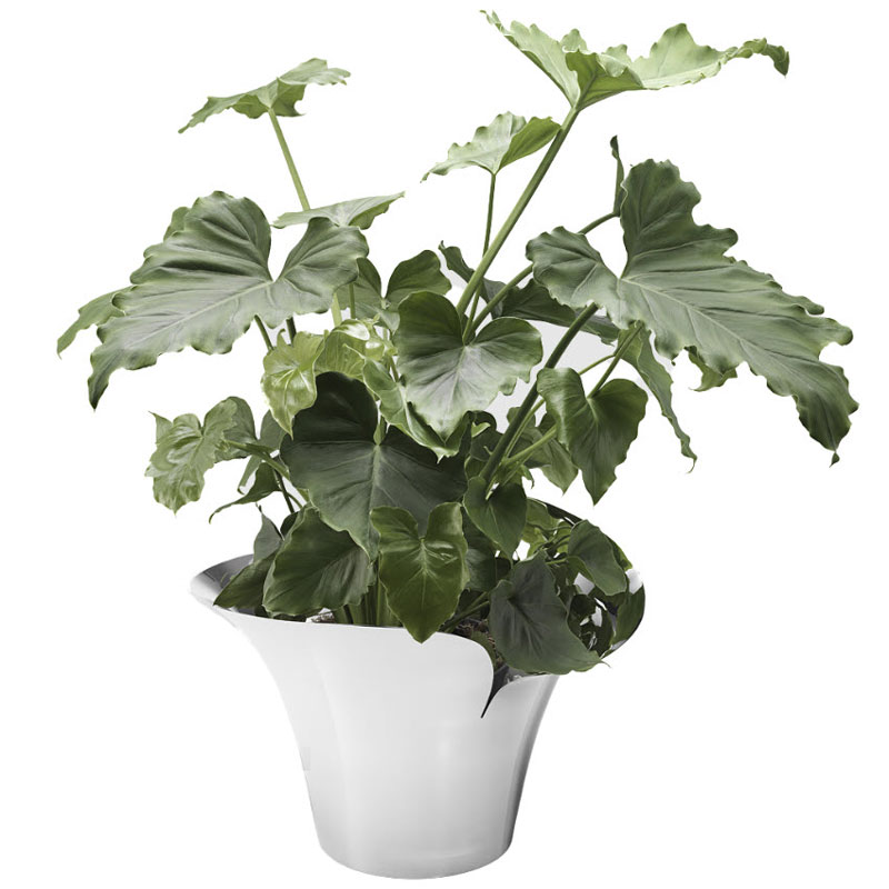 Georg Jensen Bloom Botanica Flower Pot, Large