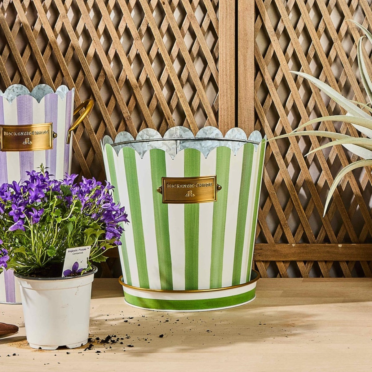 MacKenzie-Childs Grass Green Stripe Pots and Saucers, Set of 3