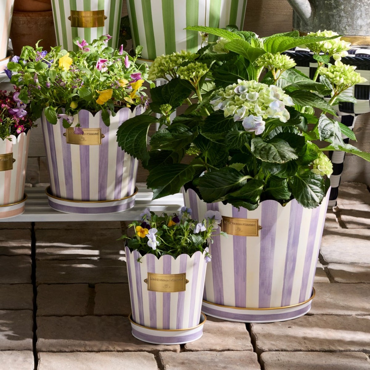MacKenzie-Childs Violet Stripe Pots and Saucers, Set of 3
