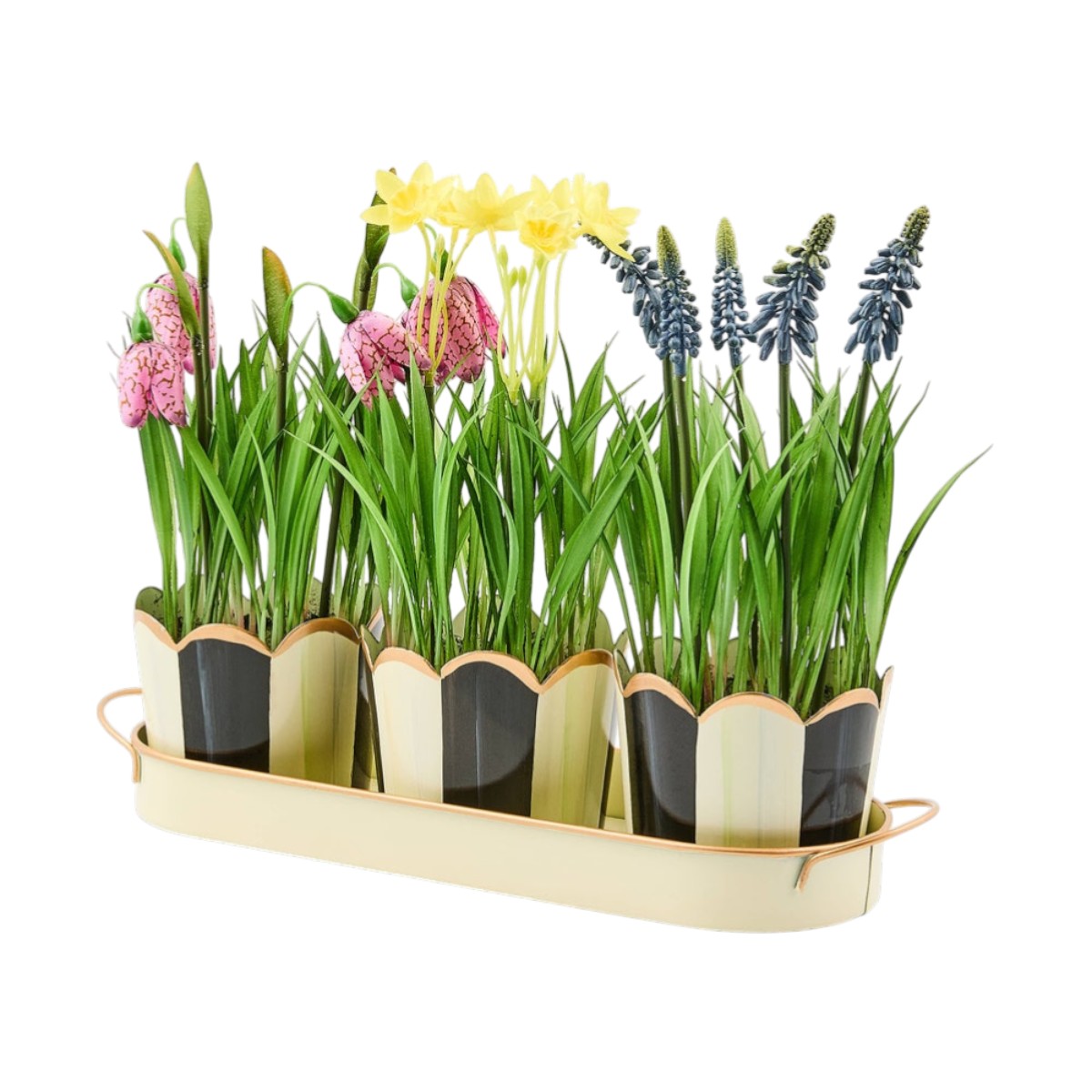 MacKenzie-Childs Triple Potted Blooms, Courtly Stripe