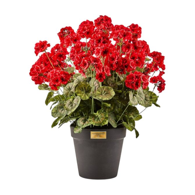 MacKenzie-Childs Geranium Urn Filler, Red
