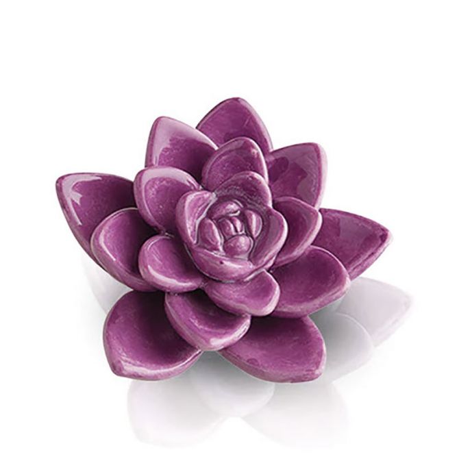 Nora Fleming Get Growing! Mini