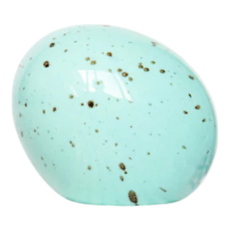 Nora Fleming Eggstra-ordinary Mini