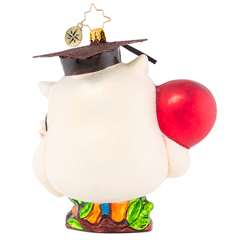 Christopher Radko The World May Never Know Ornament