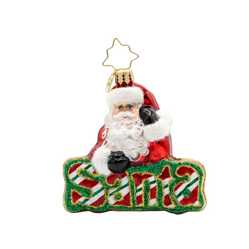 Christopher Radko What's In A Name Santa Gem Ornament