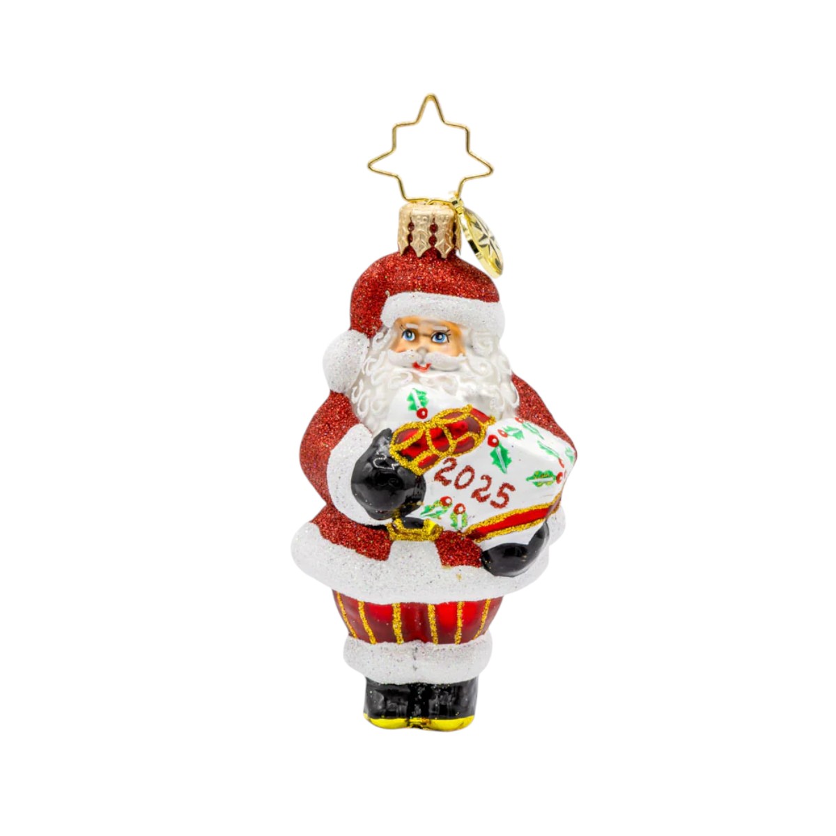 Christopher Radko Santa's Special Gift 2025 Ornament