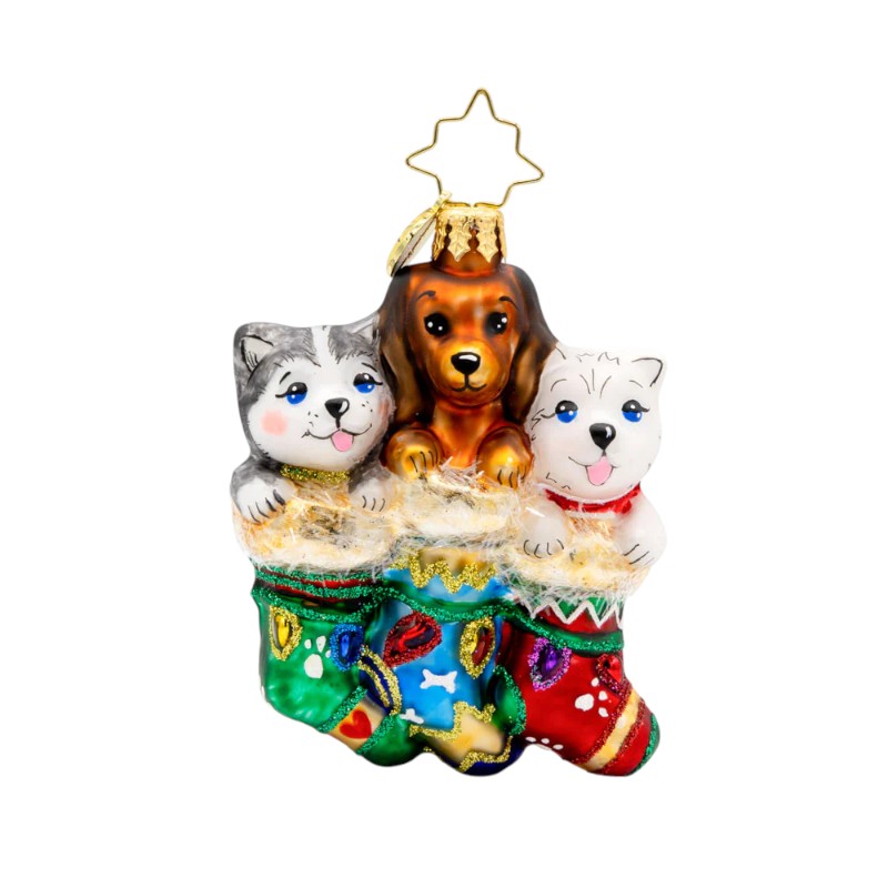 Christopher Radko Puppy Presents Ornament