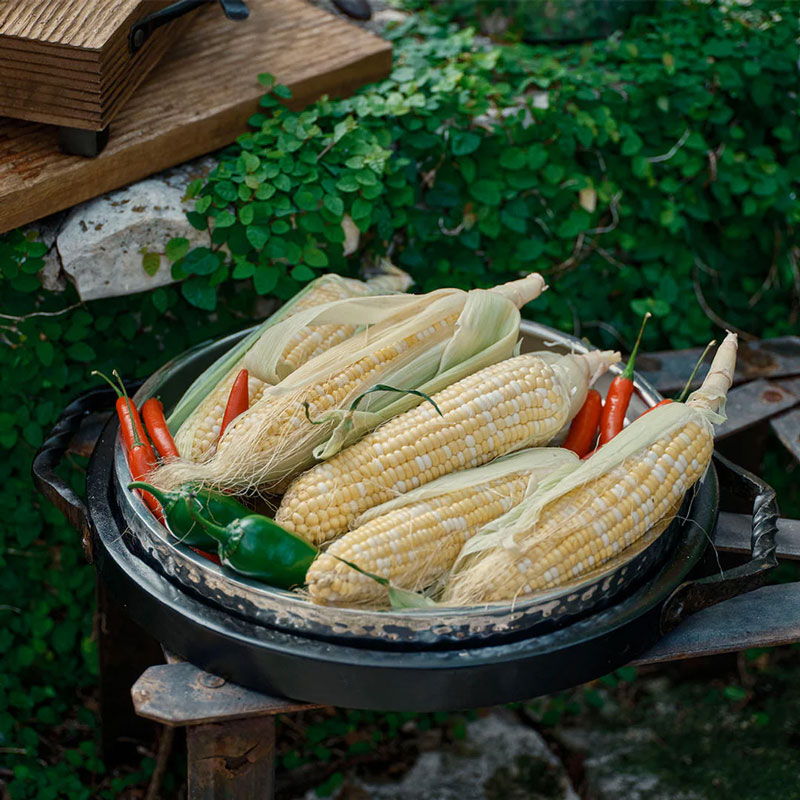 Jan Barboglio Sabado Tray