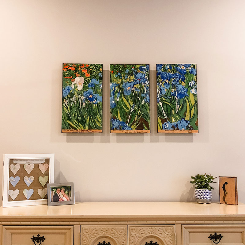 Houston Llew Reflections 3 Piece Art Work