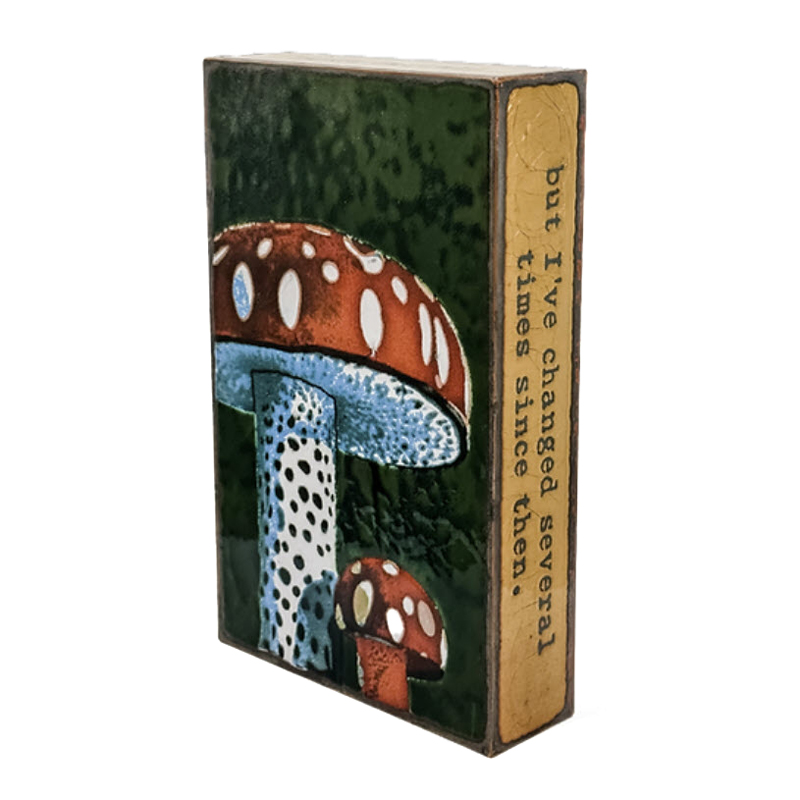 Houston Llew 276: Mushroom Spiritile