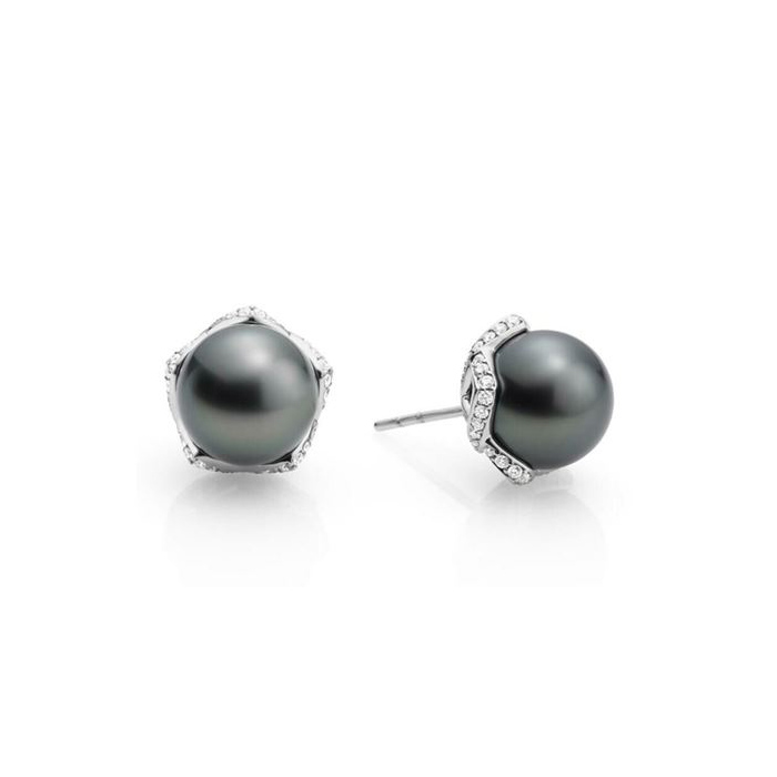 Mikimoto Tahitian South Sea Cultured Pearl & Diamond Pointed Basket Stud Earrings in White Gold