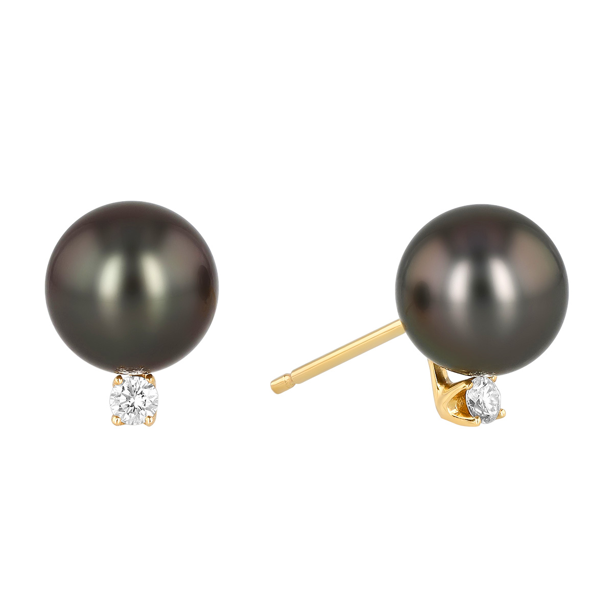 TARA Pearls Tahitian South Sea Cultured Pearl & Diamond Stud Earrings in Yellow Gold