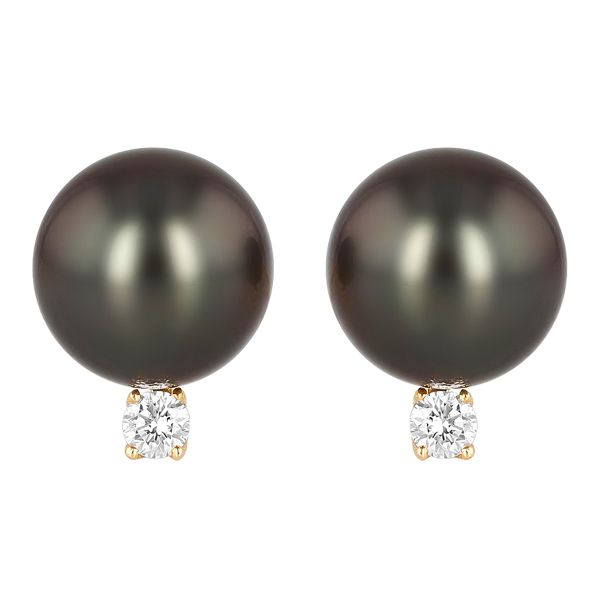 TARA Pearls Tahitian South Sea Cultured Pearl & Diamond Stud Earrings in Yellow Gold