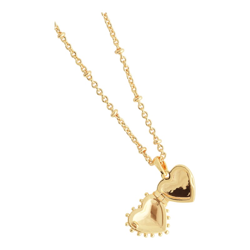 Anabel Aram Heart Small Locket Necklace
