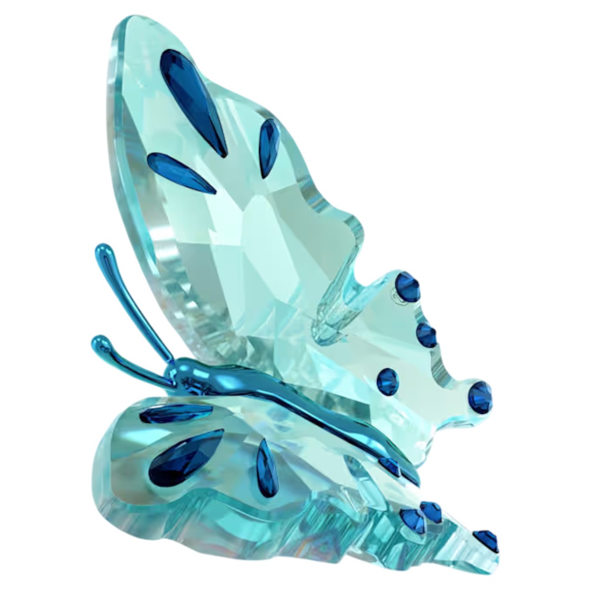 Swarovski Idyllia Butterfly Figurine, Turquoise