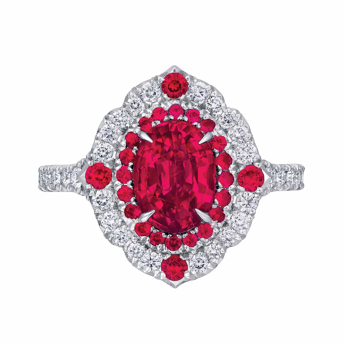 Omi Prive Duet Oval Ruby & Diamond Halo Ring in Platinum