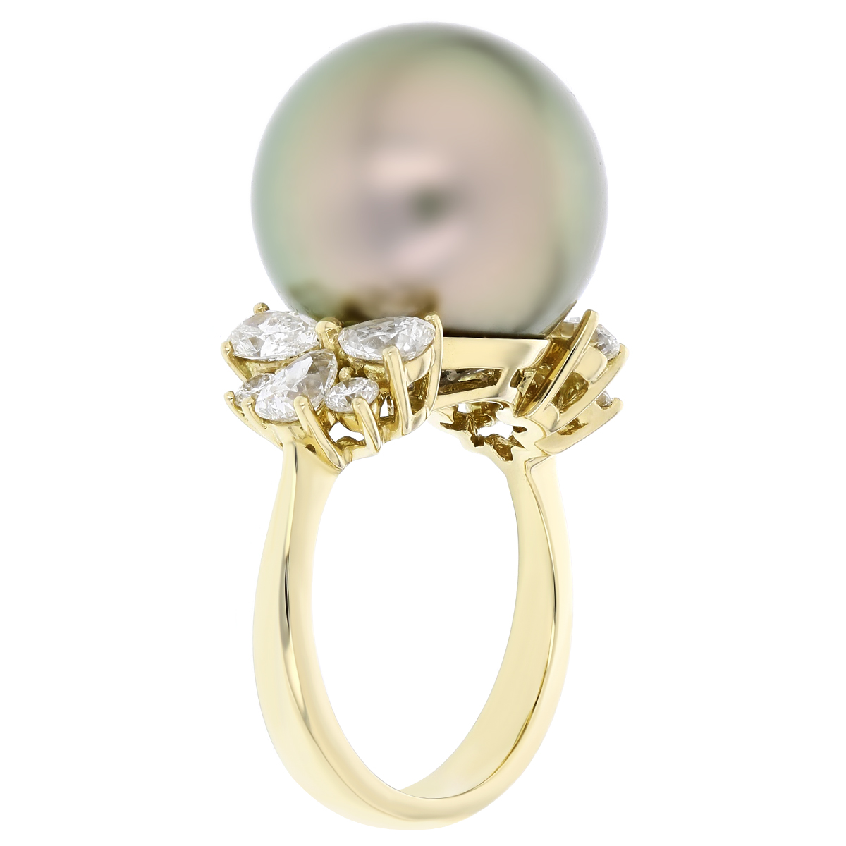 15x16mm Black Tahitian Cultured Pearl & Diamond Ring in Yellow Gold by TARA Pearls