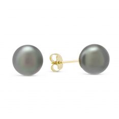 TARA Pearls Black Cultured Pearl Stud Earrings, 9x10mm in Yellow Gold