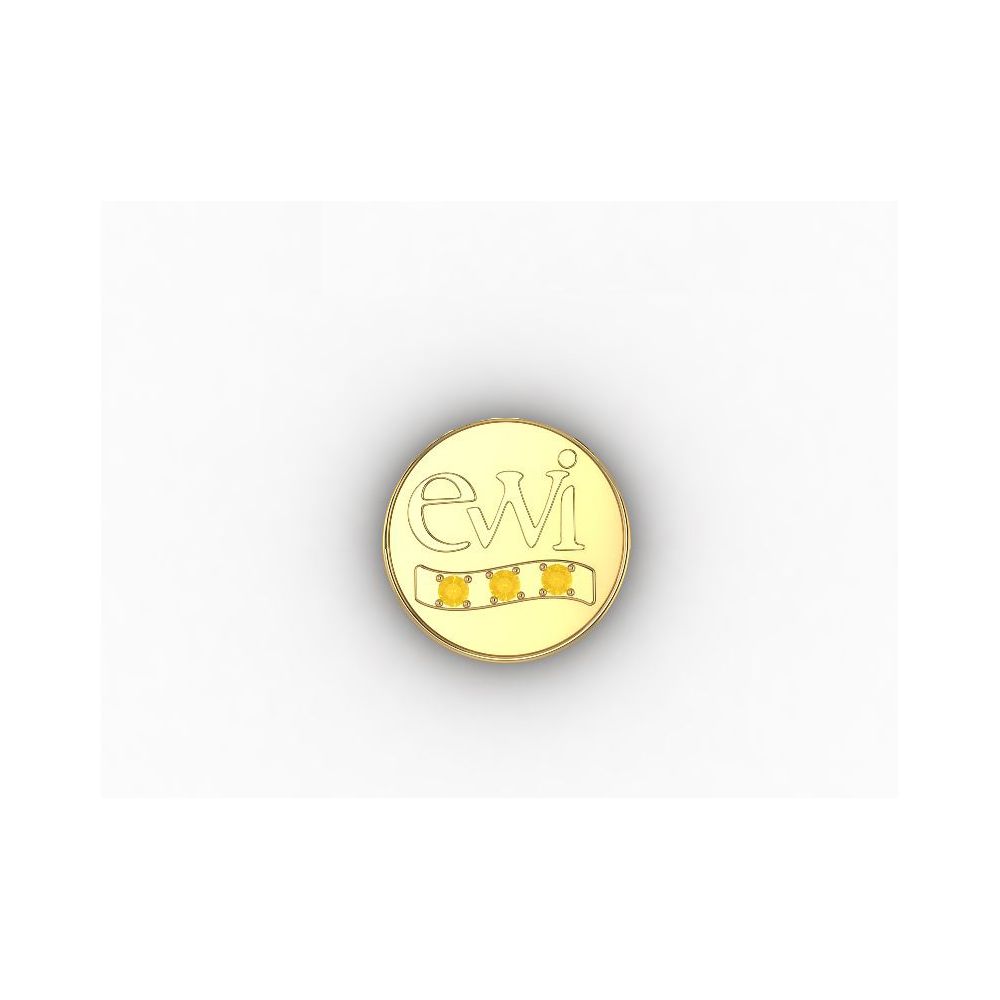 EWI Chapter Board Pin 10K Yellow Gold with Citrines