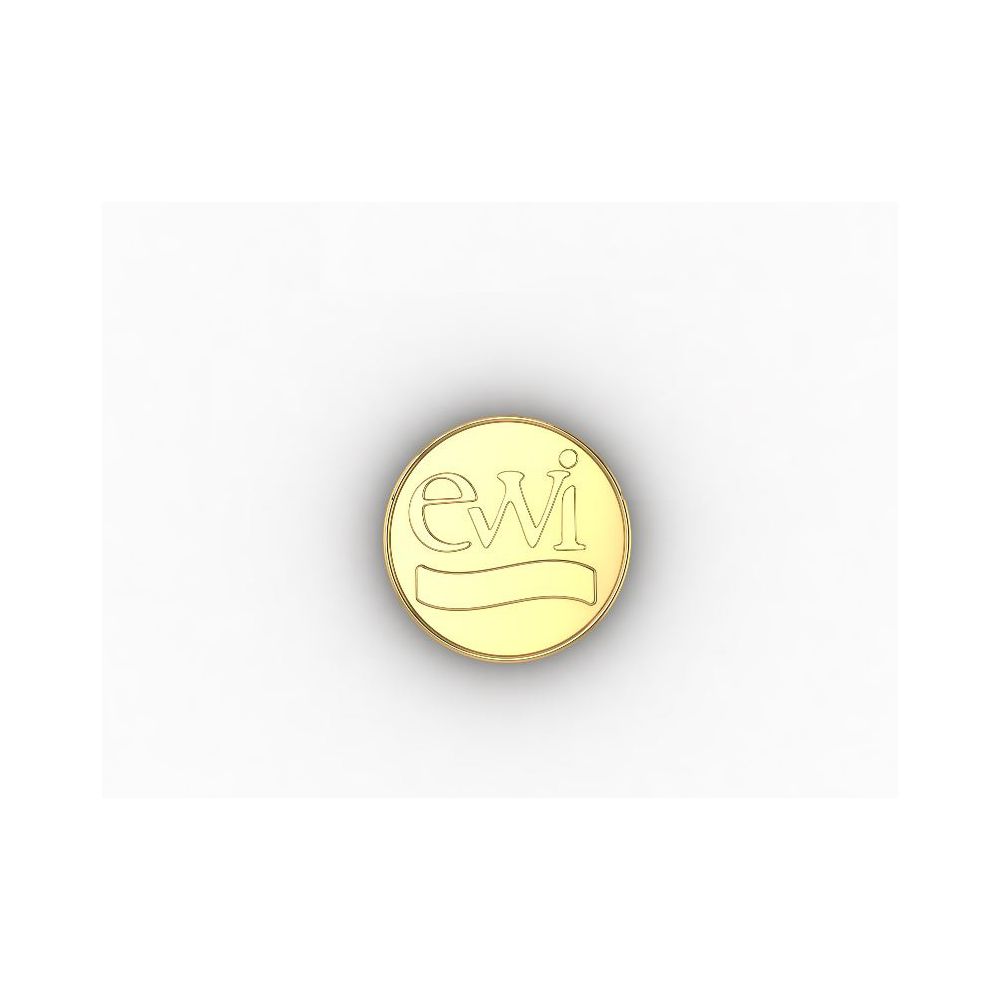 EWI 14K Yellow Gold Pin